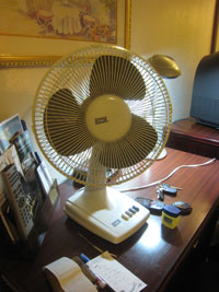 2010_09_29_fan