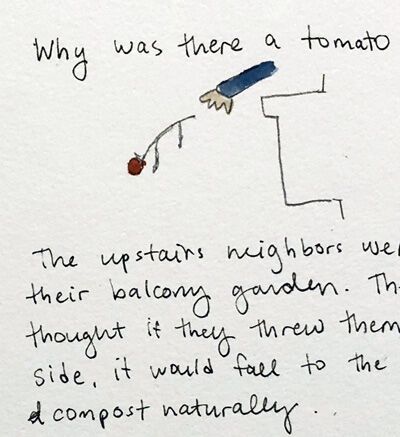 2024-02-01-tomato2