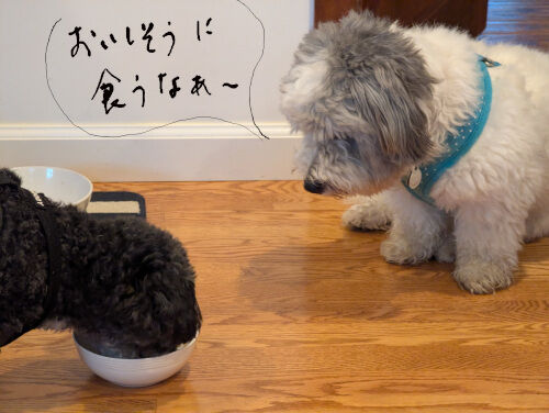 2026-01-21-oreocharlie