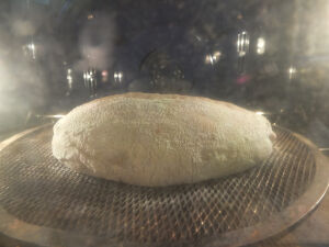 2026-04-13-sourbread5