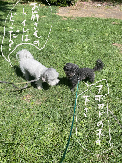 2026-04-20-oreocharlie
