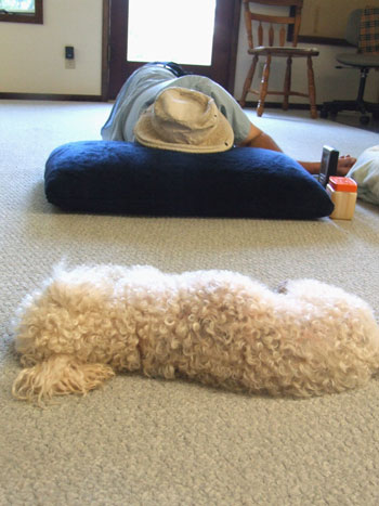 2013-06-07-nap2