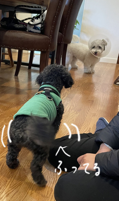 2023-12-17-charlie7