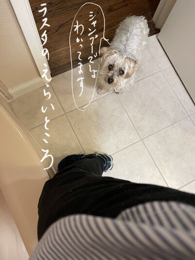 2022-04-03-rasta1