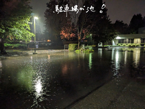2024-11-24-flood2