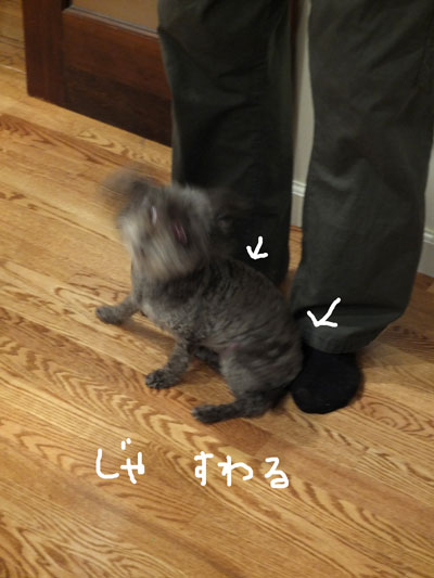 2019-12-25-judy3