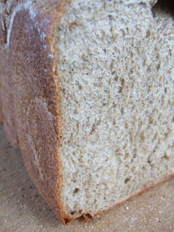 crumb