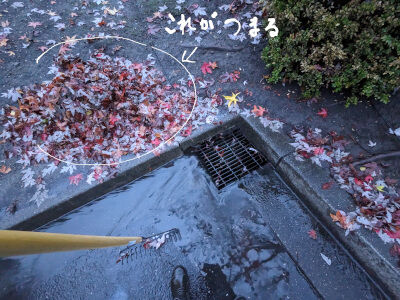 2024-11-24-flood1