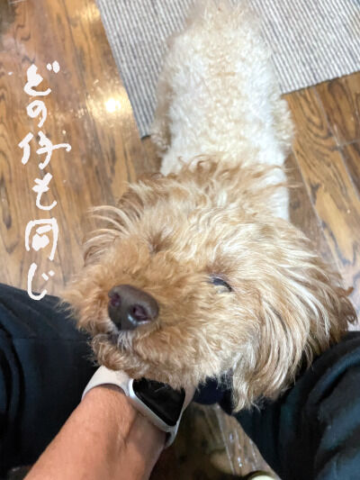 2025-05-05-choco1