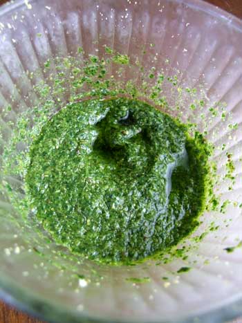 2015-02-14-salsaverde1