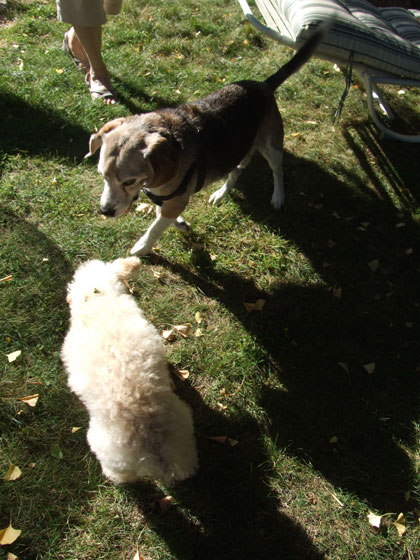 2015-10-25-chibikona1