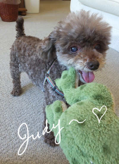 2021-07-02-judy2