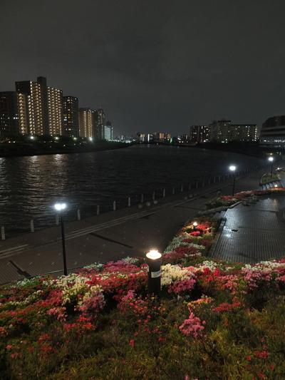 sumida