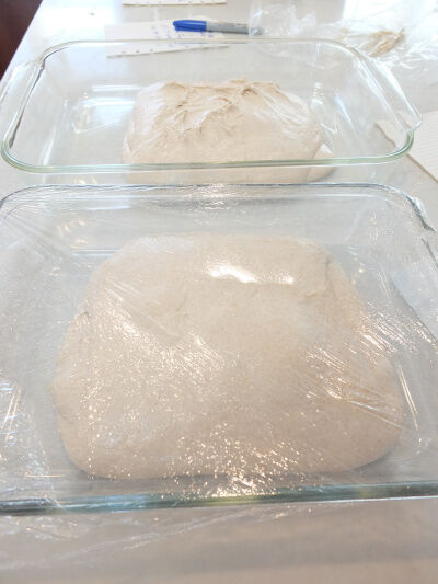 2025-01-28-sourdough1