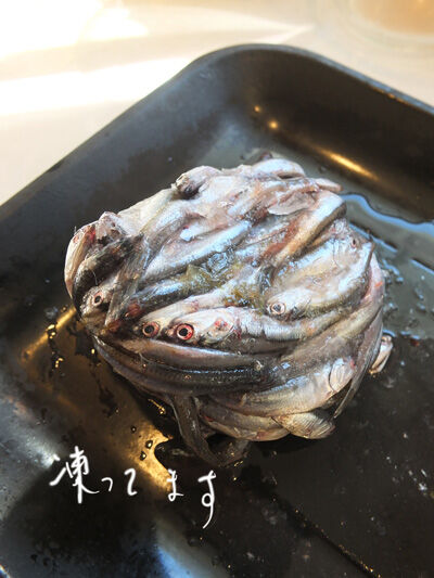 2021-11-13-fish2