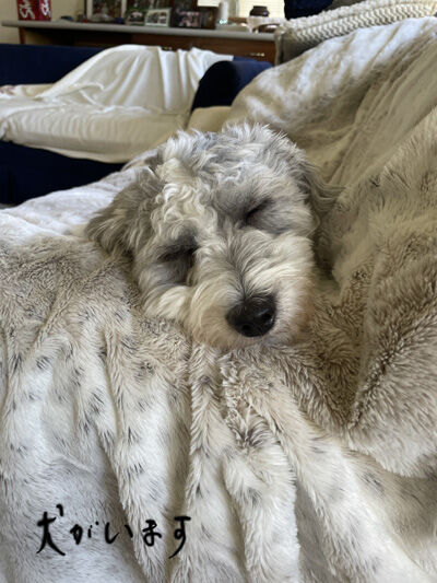 2024-02-21-charlie1
