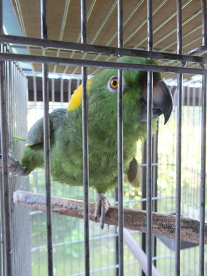 DSCF0801