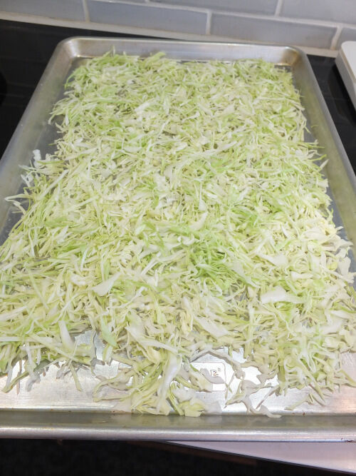 2026-01-24-cabbage4