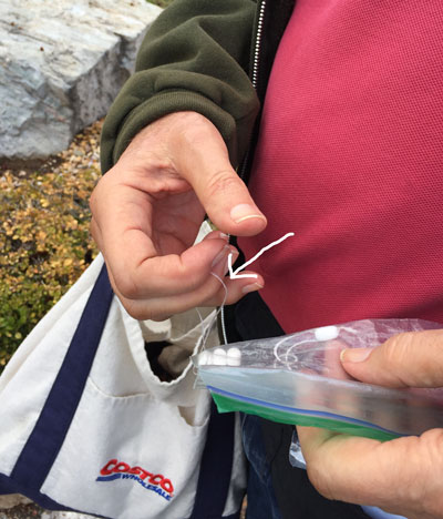 2019-12-19-floss