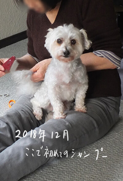 2021-04-12-rasta2