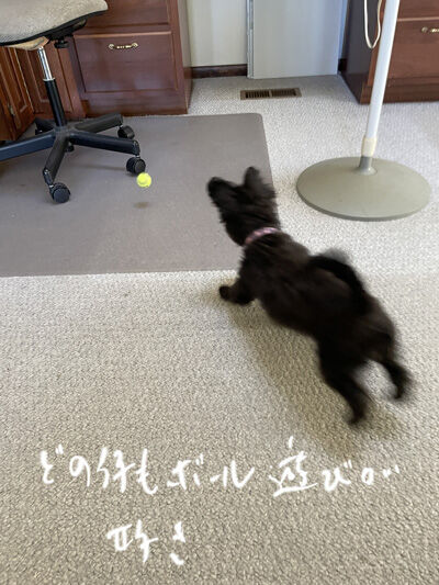 2024-07-21-kiki1