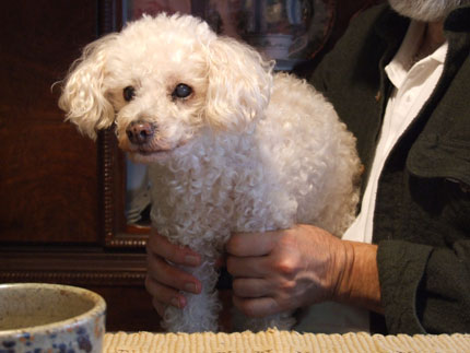 2012-12-16-chibi4