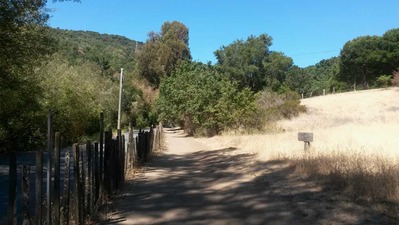 2014-06-25-fence