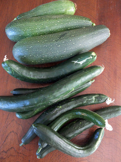 2019-07-31-cucumber8