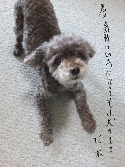 2021-08-03-judy2