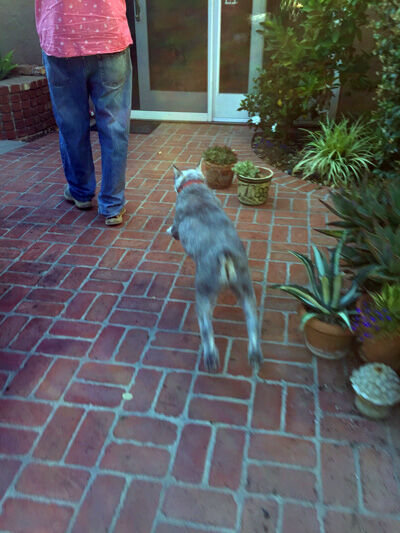2021-07-01-reggie1