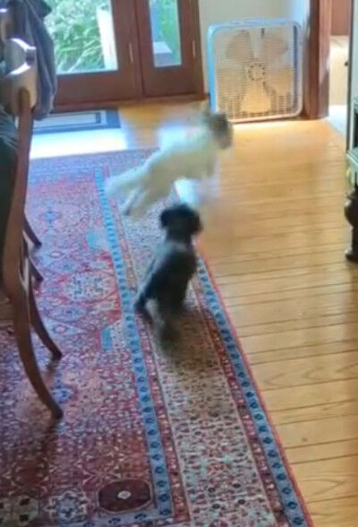 2025-06-16-charlieoreo6