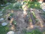 2010_04_29_veggie_garden