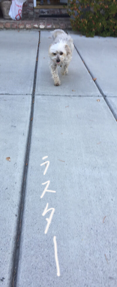 2020-09-29-rasta2