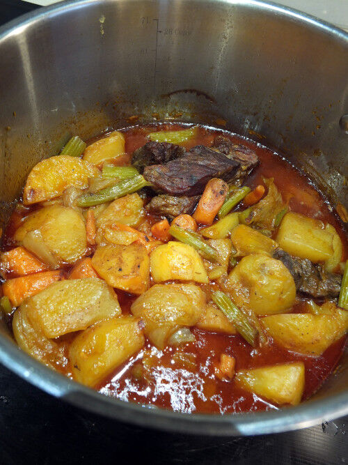 2025-12-21-beefstew2