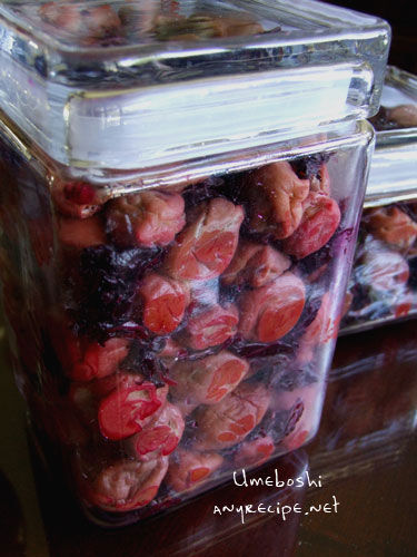 2011_07_10_umeboshi1