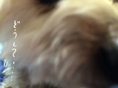 2021-03-24-rasta1