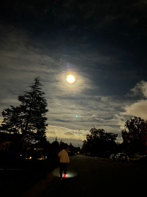 2025-11-04-nightwalk1