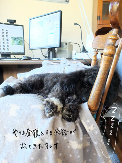 2022-02-13-oreo1