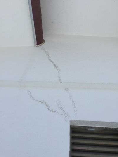 81539CF8-87C7-40B4-B1B8-02EB0C627900