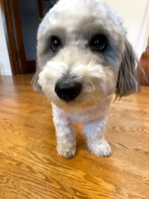 2026-09-28-charlie1