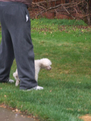 2014-02-27-chibi5jpg