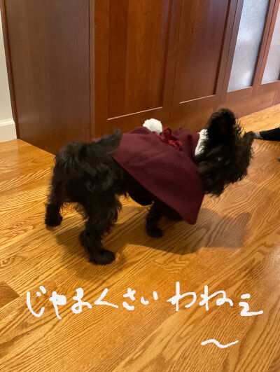 2025-01-12-kiki2