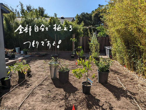 2024-06-07-garden1