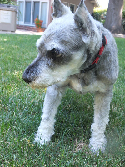 2021-06-30-reggie3
