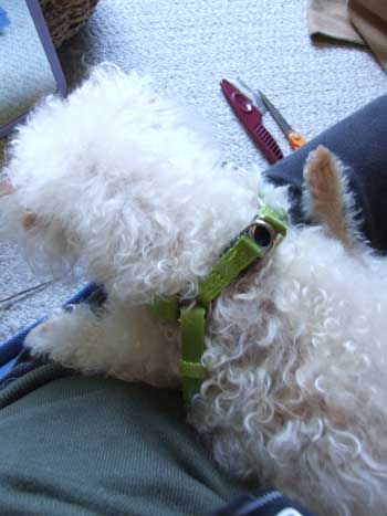 2015-05-30-chibitrim1