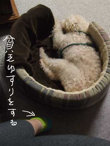 2014-06-01-binbouyusuri