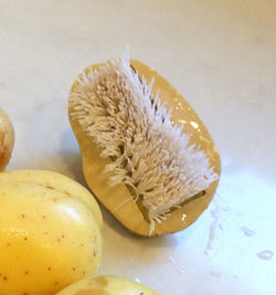 2019-09-15-potatoskin7