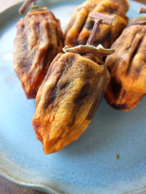 2025-11-04-persimon2