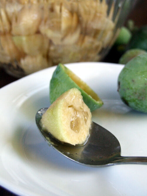 2025-11-13-guavajam6