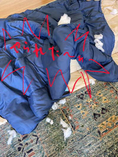2024-07-06-sleepingbag2